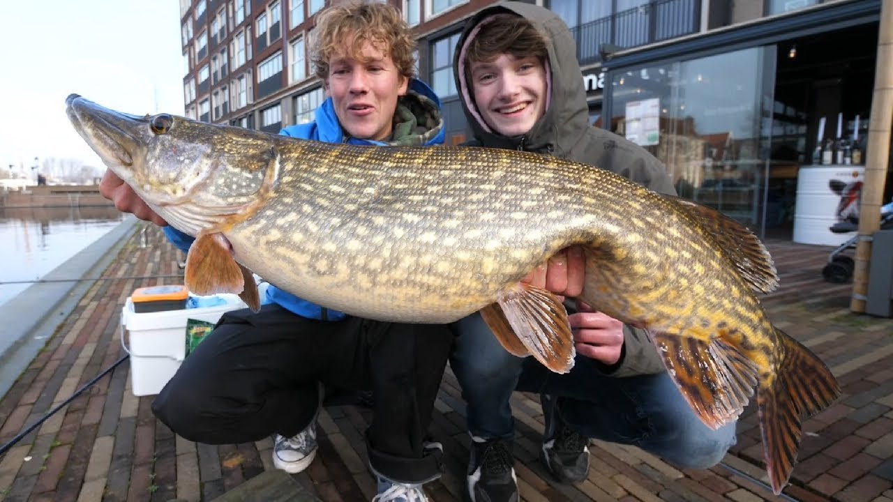 SUPER DIKKE SNOEKEN MIDDEN IN DE STAD! - VLOG # 21
