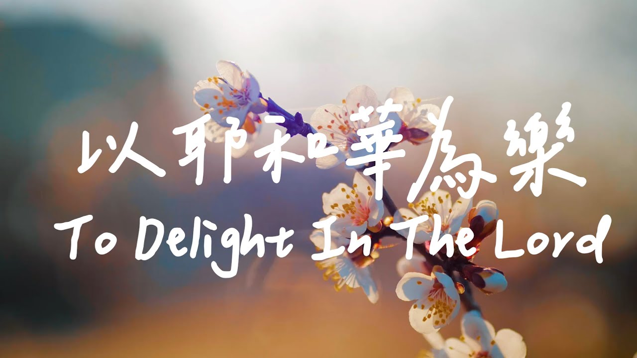 以耶和華為樂 The Delight In The Lord | 等候神音樂 | 靈修音樂 Soaking Music | Worship Music | Instrumental Music |