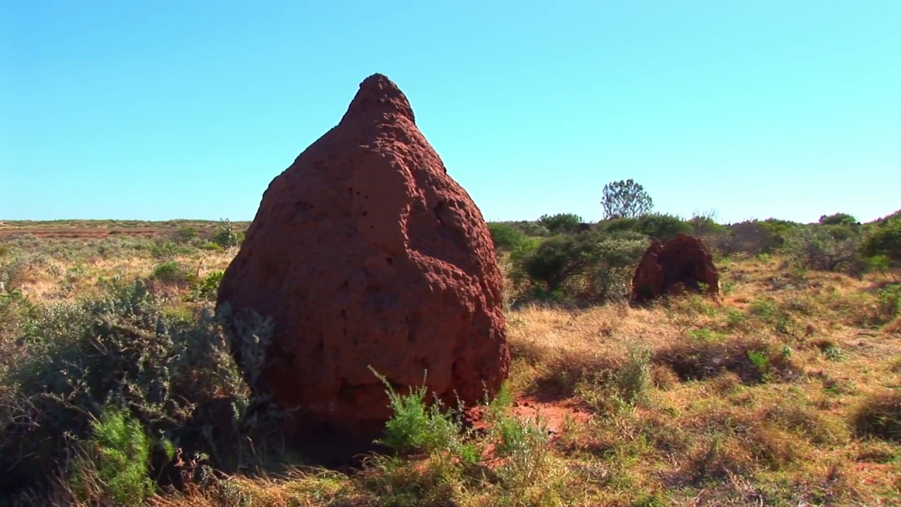 WESTERN AUSTRALIA BRIEF HISTORY