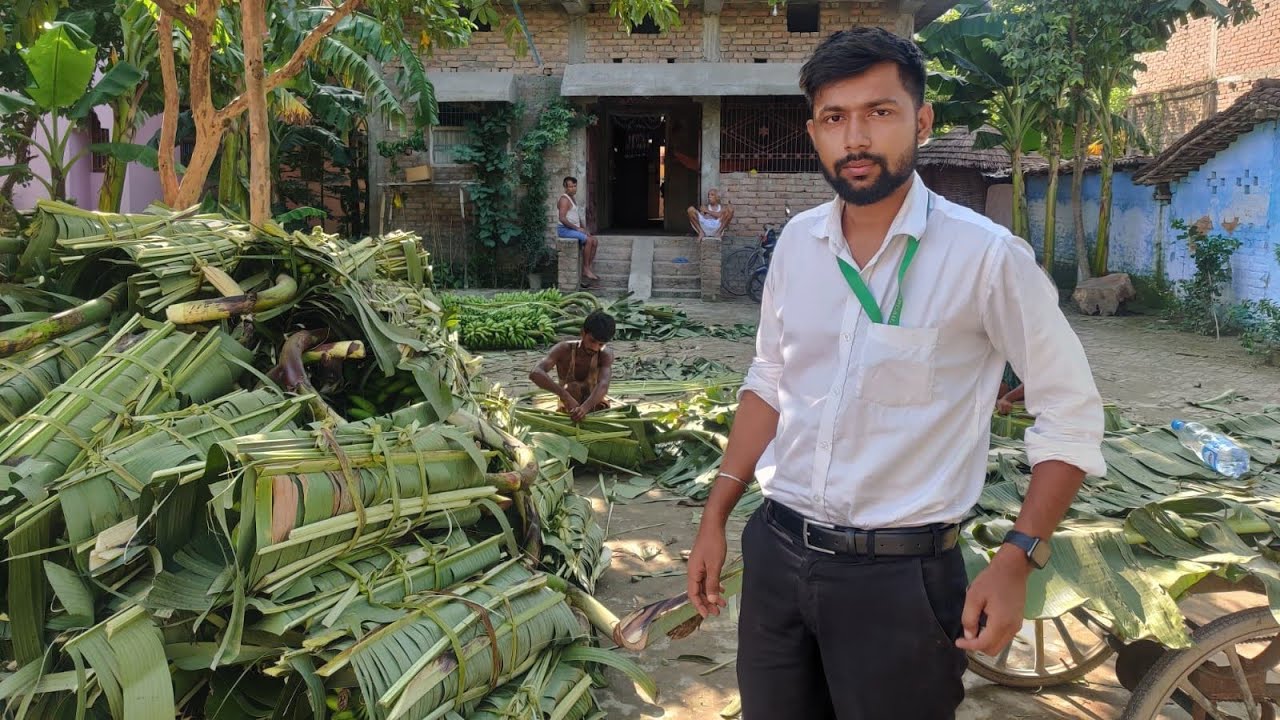 Banana Fibre Extraction Process, Get high quality Banana Fibre from Banana Stem