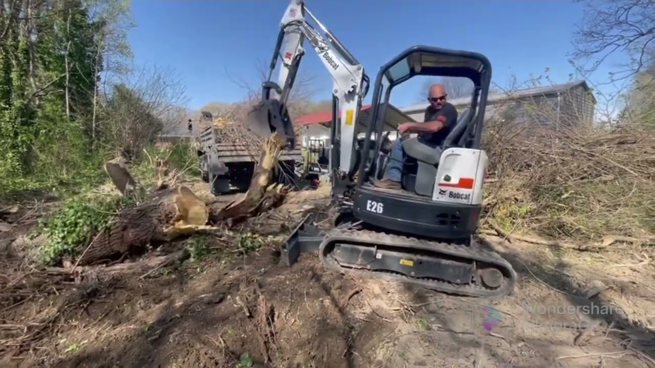 Clearing some trees & brush with Bobcat E26