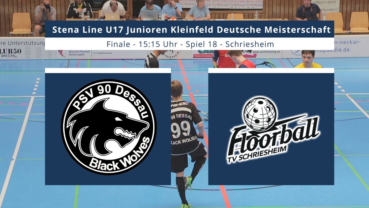 U17 DM 2017 | Finale - PSV 90 Dessau - TV Schriesheim