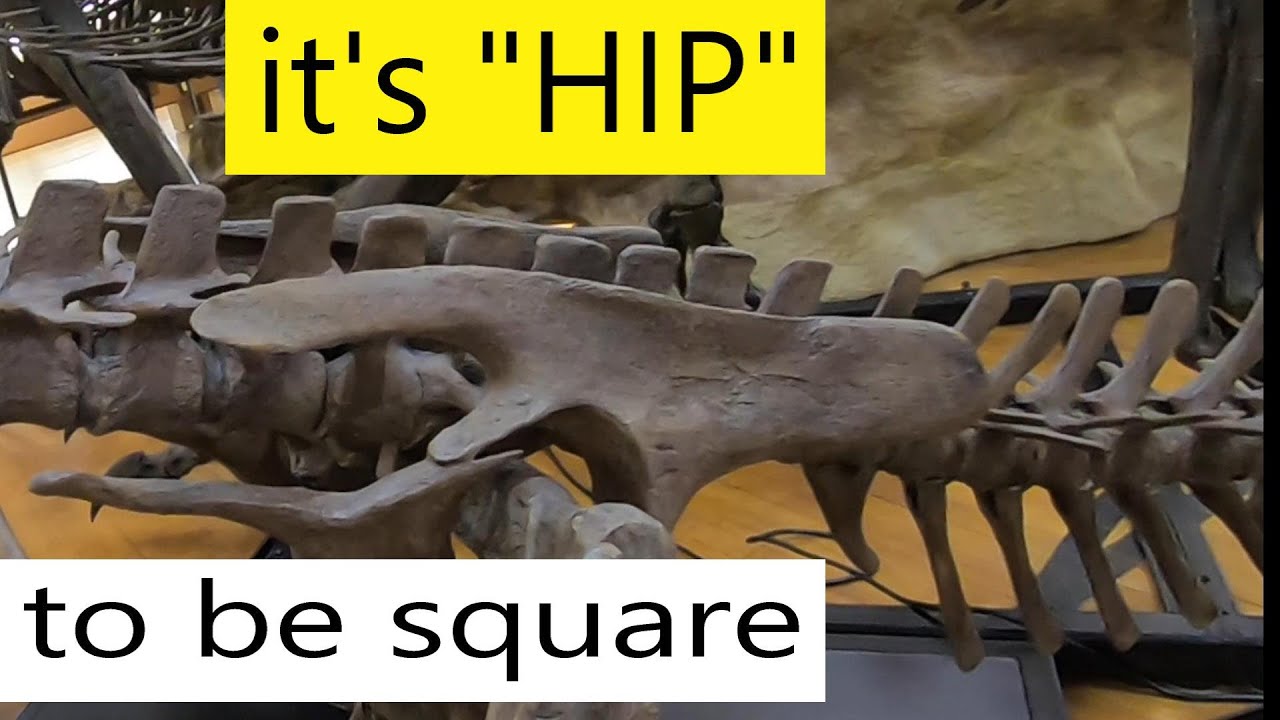 Digging Dinosaurs in the Hell Creek - part 1