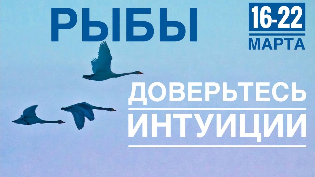 Рыбы ♓️ 16-22 марта 😀❤️✨💪Таро Ленорман прогноз 