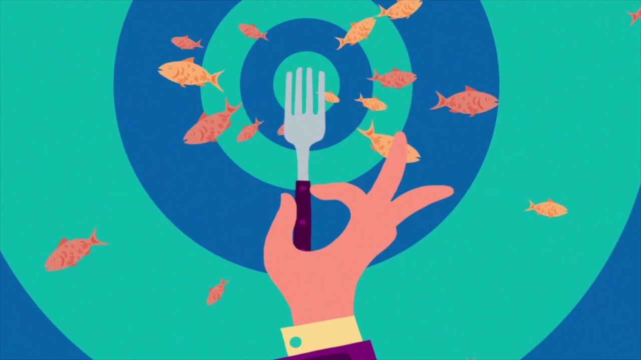 The MSC and ASC labels explained | Sustainable Seafood Week Australia