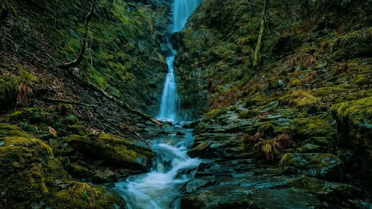 Peaceful Relaxing River Sound – Nature Therapy