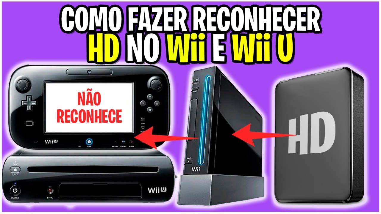 Como fazer funcionar HD Externo no Wii e Wii U