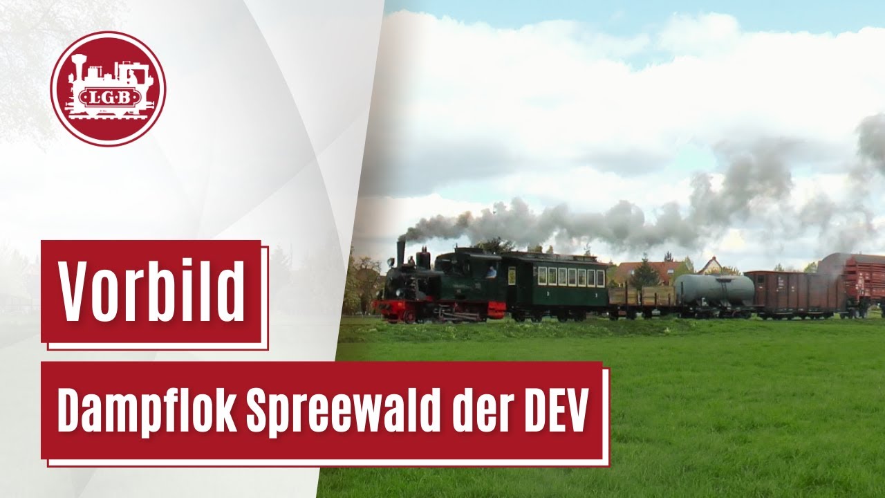 Vorbild | Dampflok Spreewald der DEV