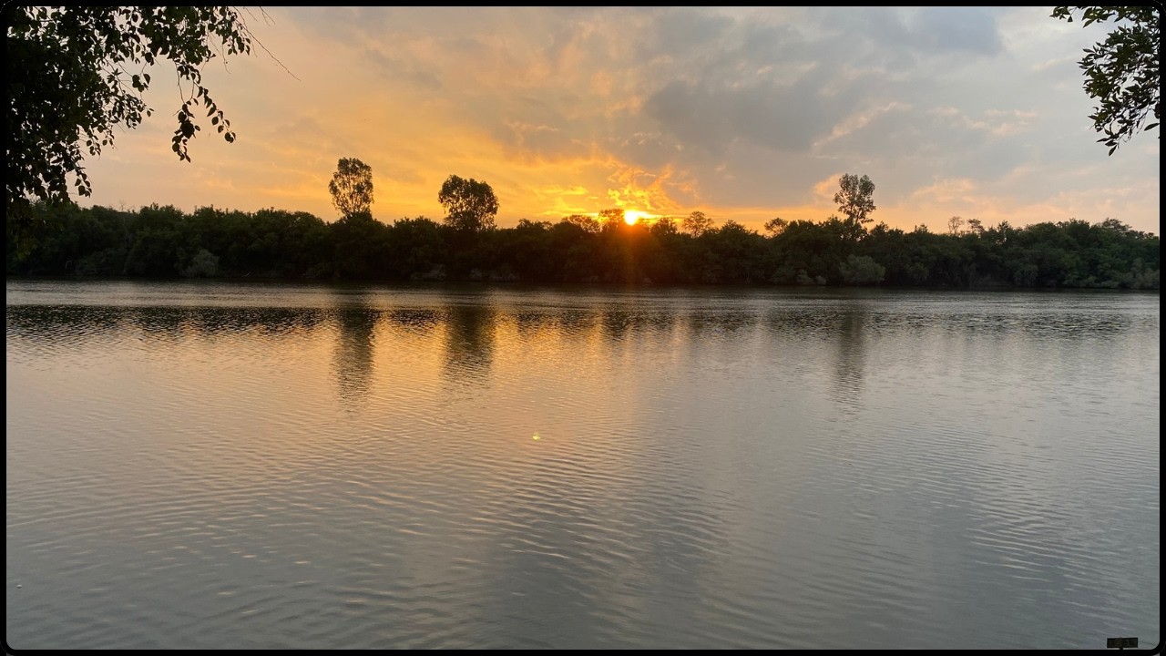 Vaal River Carp Fishing [Video 18]