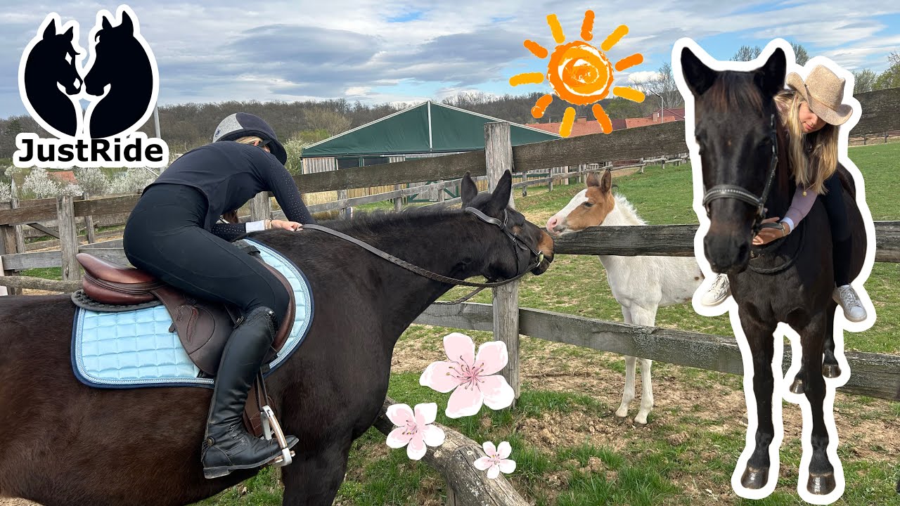 2 Napos Lovas Vlog 🥳☀️ | JustRide