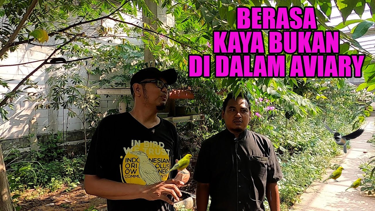 BIKIN AVIARY SEPANJANG 40 METER, BARU 7 BULAN SUDAH PULUHAN JENIS BURUNG BERSARANG DAN BERANAK PINAK