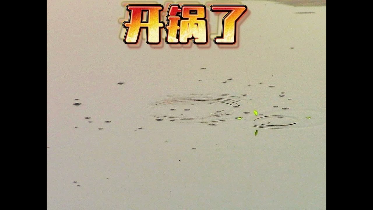 水深四米用长竿短线，鲫鱼一条接一条的上，中途鲤鱼也来凑热闹 #原来钓鱼才是抖音运动顶流 #钓鱼的乐趣只有钓鱼人懂 #传统钓#战王s短节炮竿 #一锅烩鲫鱼底窝料