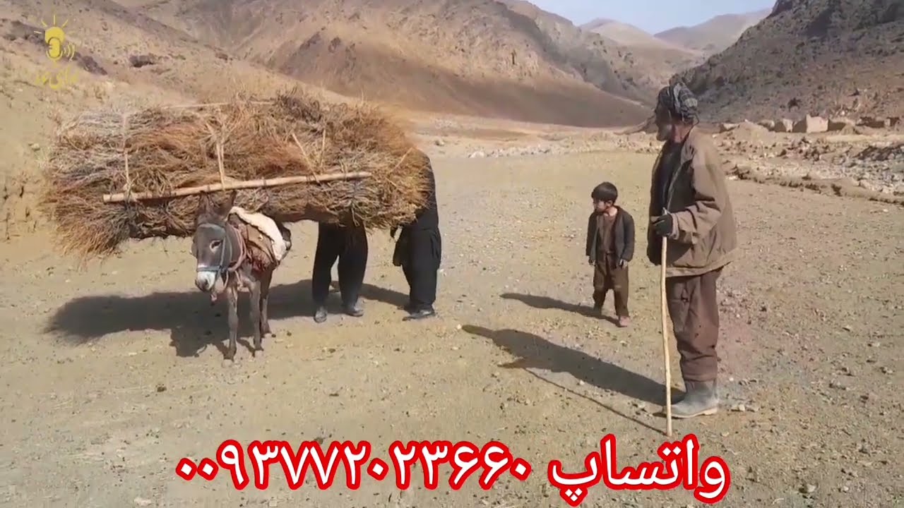 این کاریز حدود ۵ قرن قبل توسط چی کسانی ساخته شده؟ اما چرا حالا تخریب شده؟#تاریخی#جالب#زمین#زراعت#