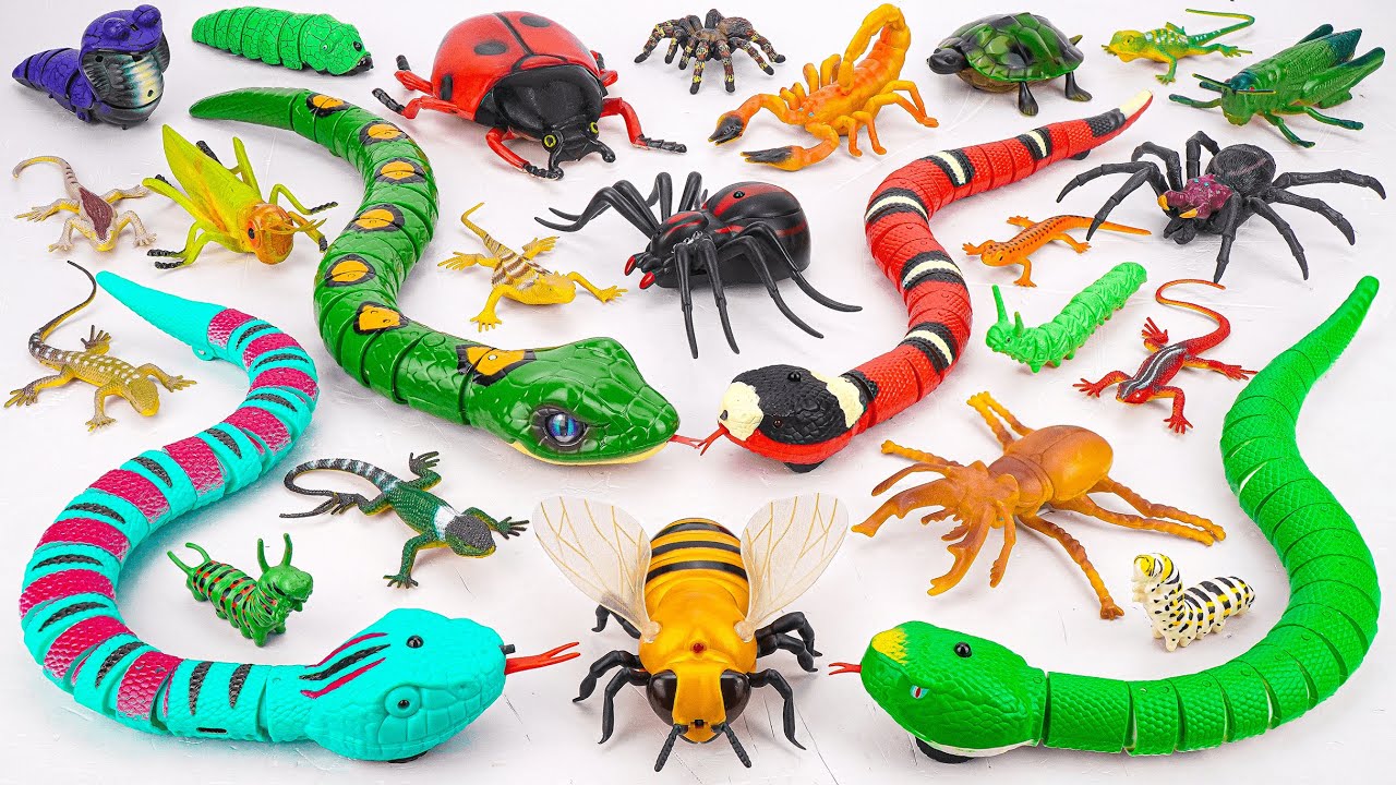 Ultimate ZURU Robo Alive Insects ASMR 🦎 Snake, Bee, Ladybug, Spider, Worm (No Talking)