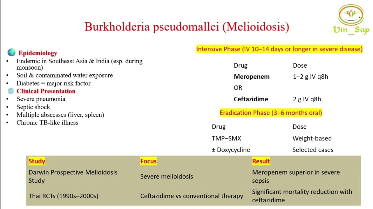 Burkholderia pseudomallei (Melioidosis)