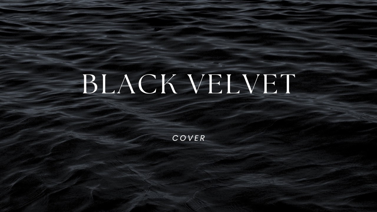 Black Velvet Cover | Misti Flowers