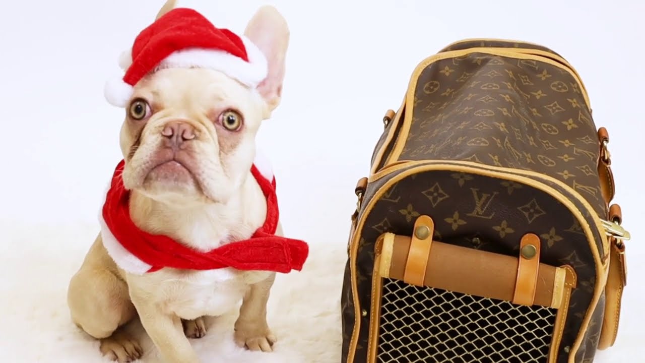Vintage Louis Vuitton Dog Carrier Restoration: ASMR