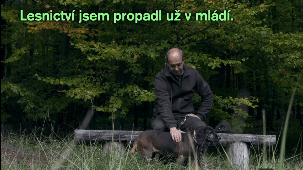 Polesí Habrůvka