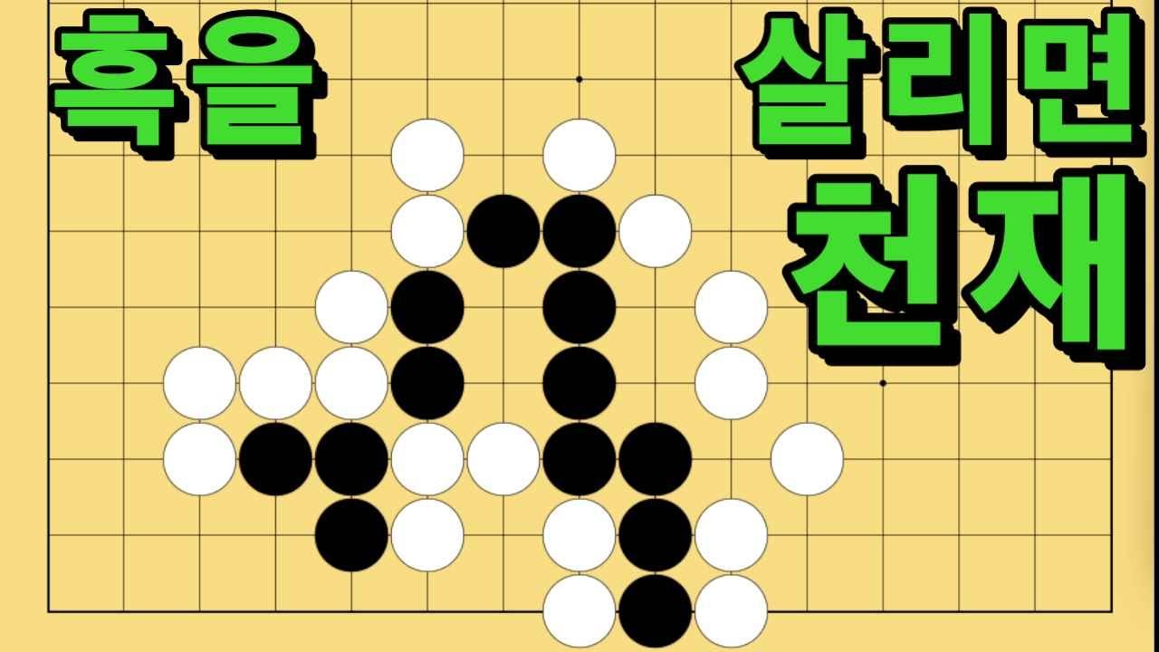 바둑 묘수 사활 - 화려한 날개짓을 펼치는 묘수가 있습니다. 흑을 살려보세요.