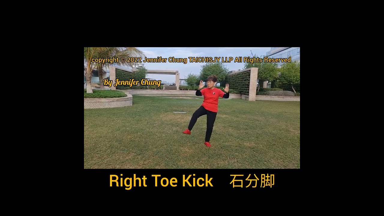 Diabetes TaiChi by MT Jennifer Chung.  Using Yang and Sun Style Form.