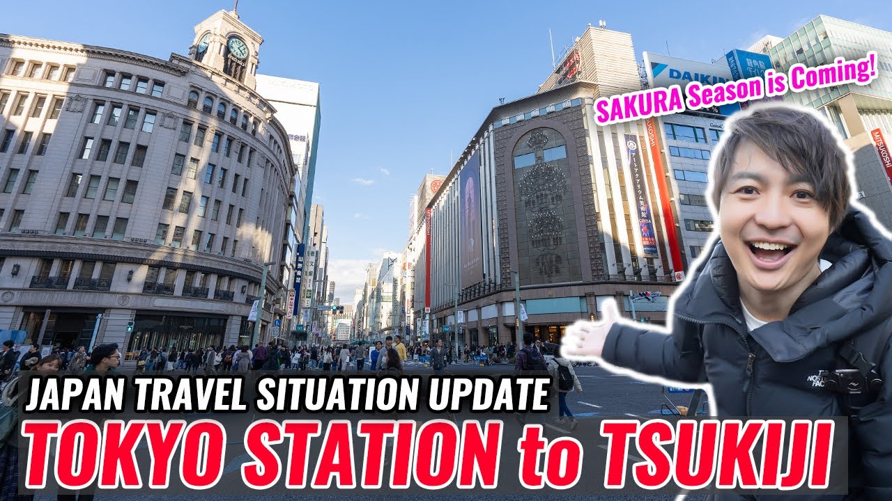 Travelers are Coming Back! Cheapest Food in Tsukiji, Walking from Tokyo Station to Tsukiji Ep.467