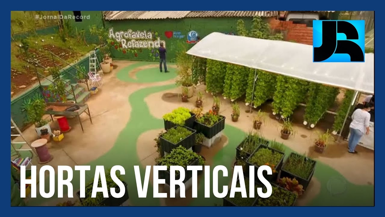 Hortas verticais ganham espaço nas comunidades de São Paulo