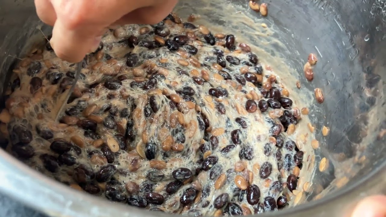 Natto Files - Working on our recipe for no-starter instant pot natto!