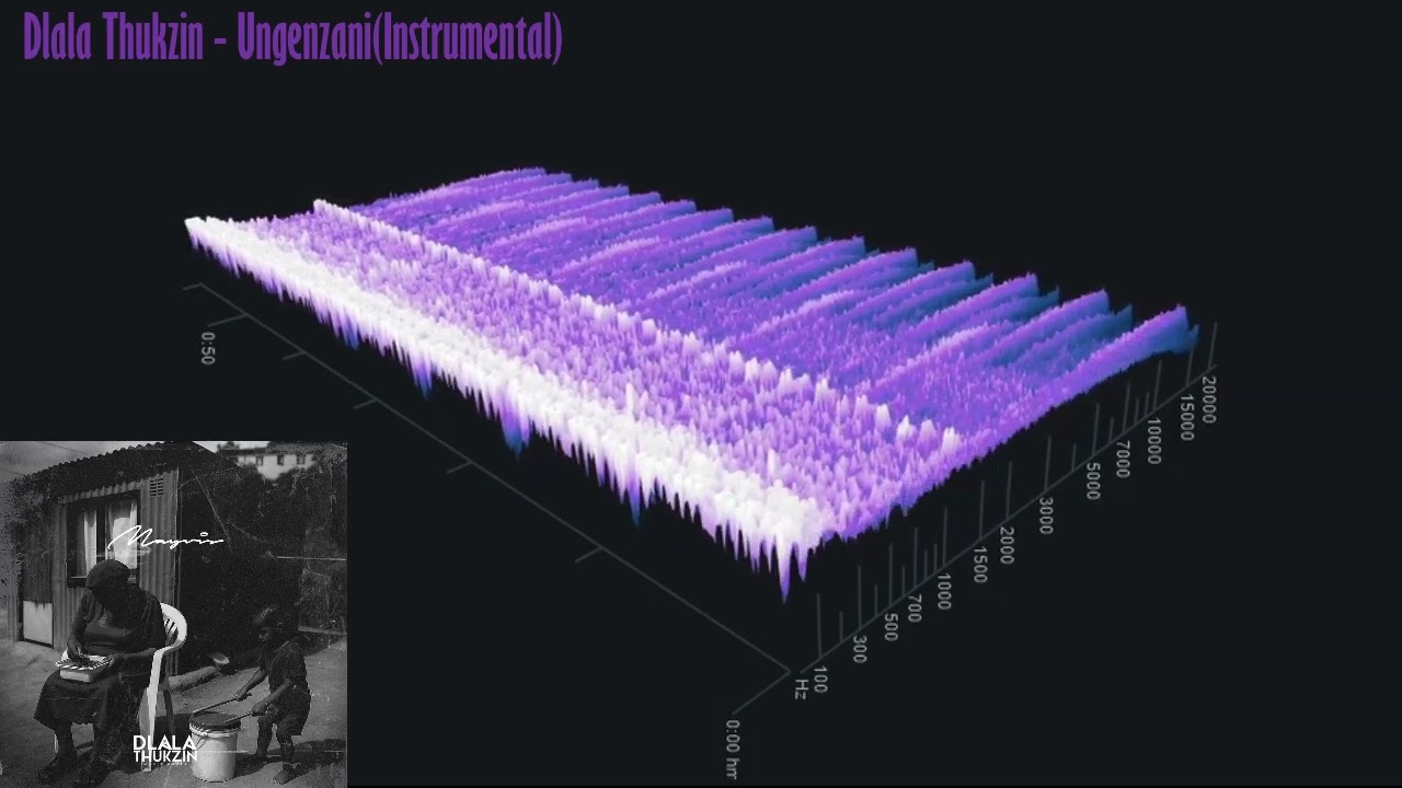 Dlala Thukzin   Ungenzani Instrumental