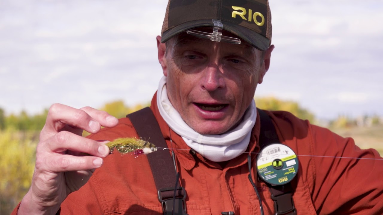 Bow River Trout - Fish Tales Fly Shop
