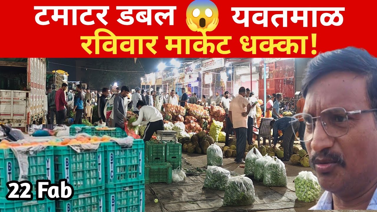 यवतमाळ सब्जी मंडी रविवारी मोठी आवक | टमाटर-मेथीचे भाव डबल 😱 यवतमाळ मंडी LIVE 
