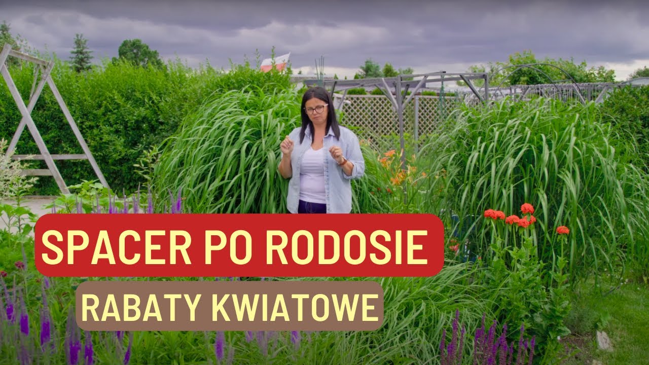 Spacer po rodosie