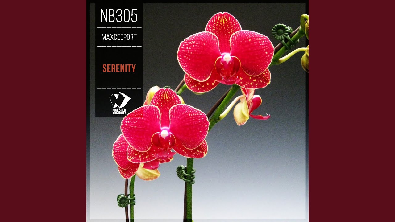 Soaring (Original Mix)