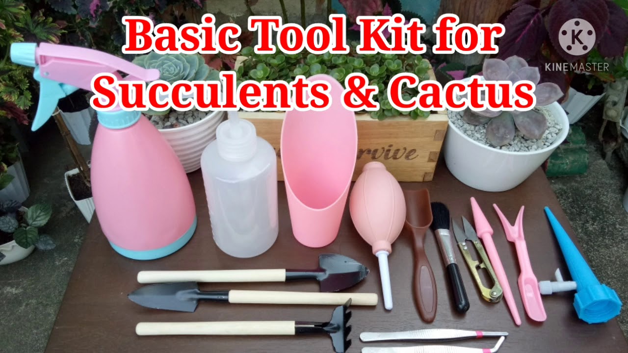 Basic Tool Kit in Planting Succulents & Cactus // Uses of This Tools