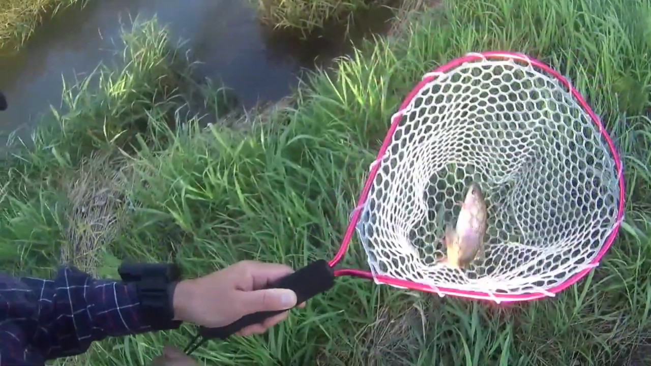 ［釣り］ 北海道釣行20180915～17（修正版）