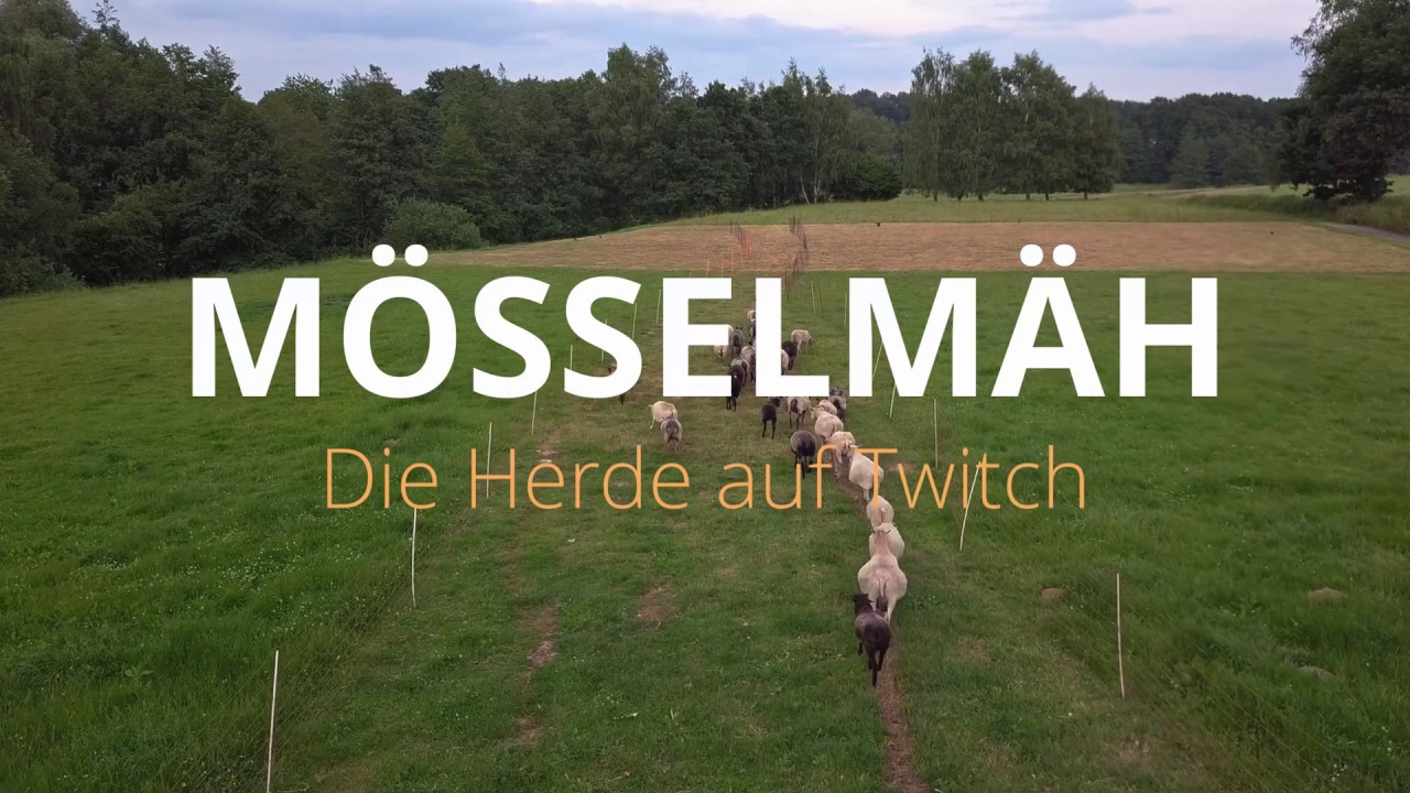 M&ouml;sselm&auml;h | Dronenflug am Abend 4K | 18.06.2019