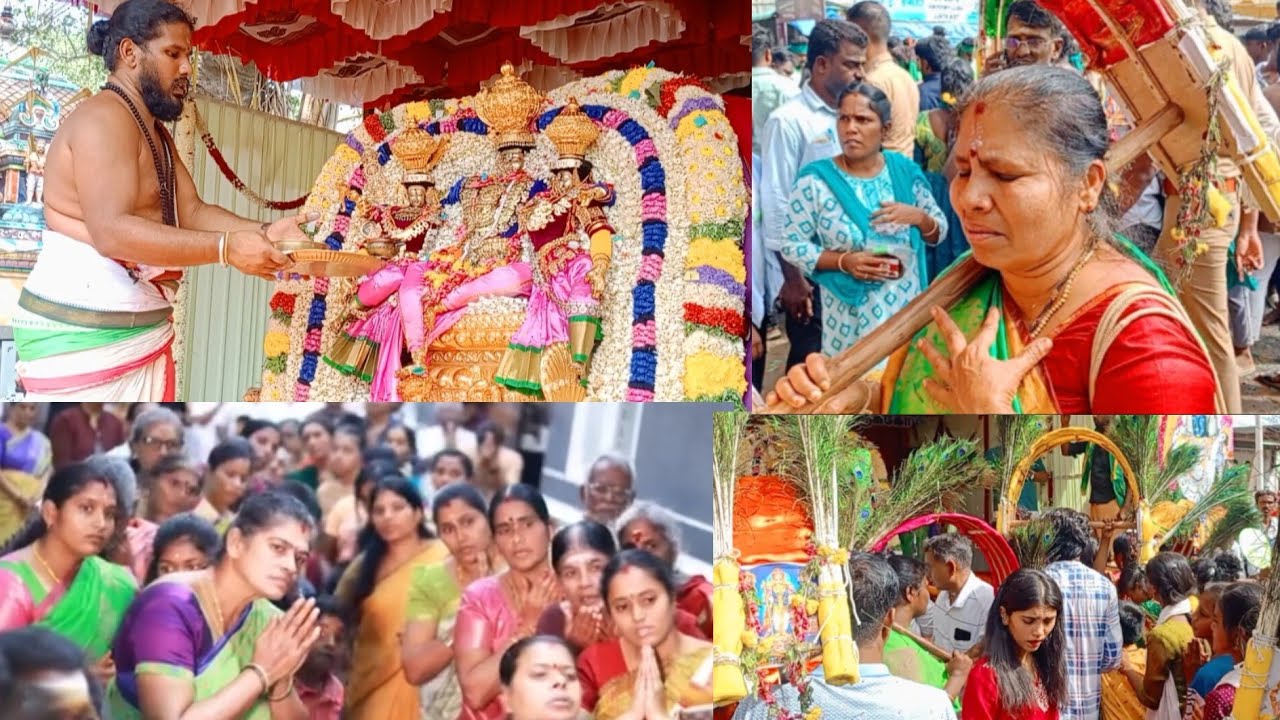 திருக்கல்யாண உற்சவத்தில் பக்தர்கள் பரவசம்..!#வள்ளியம்மை #கோவில் #தைபூசம்#ஆன்மீகம்#devotional#news 