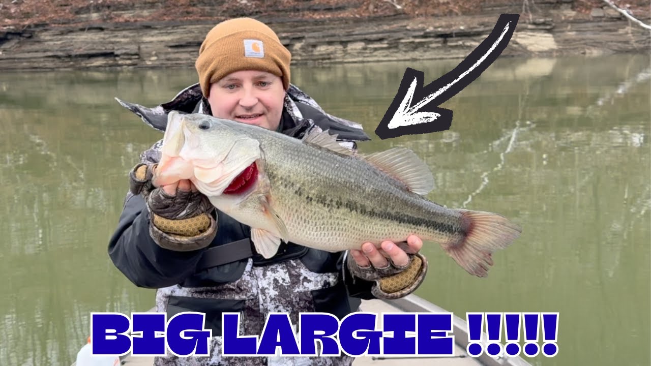HUGE WINTER BASS using Garmin Livescope: WINTER Fishing For HOGS!