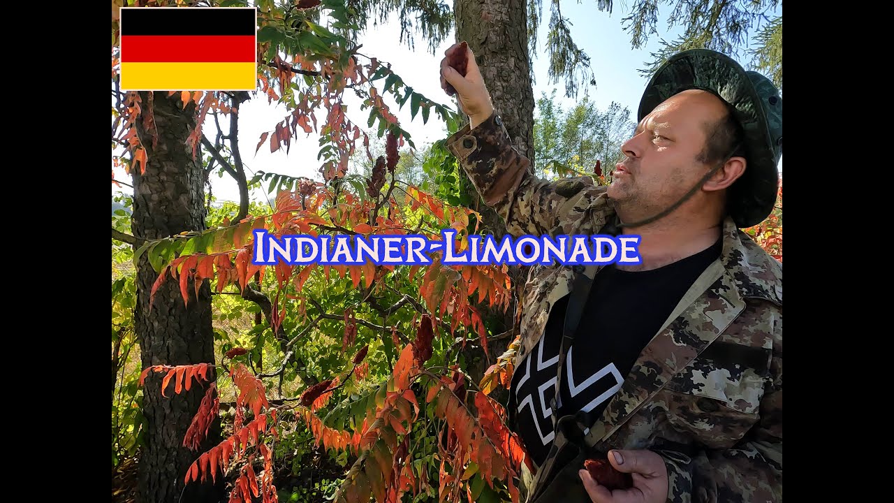 Moko: Essigbaum als kontinentaler Zitronenersatz
