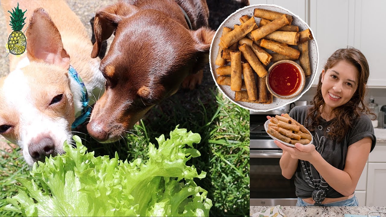 Cleaning Out Our Fridge + Making Vegan Lumpiang Shanghai