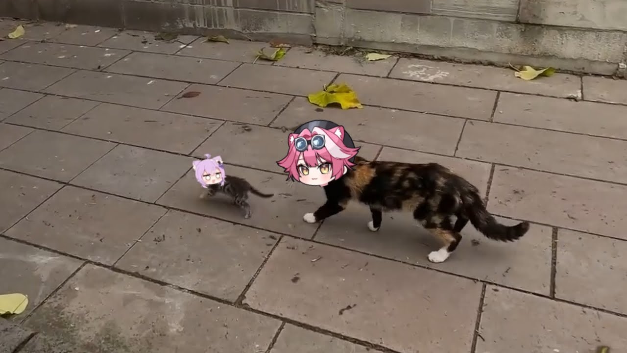 Raora big cat mama and Okayu cat daughter | Animal hololive