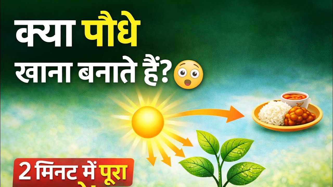 🤔 kya paudhe bhi khana khate Hain 🤔 to vah khana kaise banate hai 