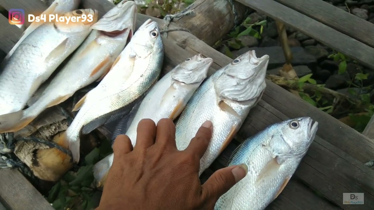 Pantai Eretan Indramayu - Spot Mancing Gacor Pantai Eretan !!!