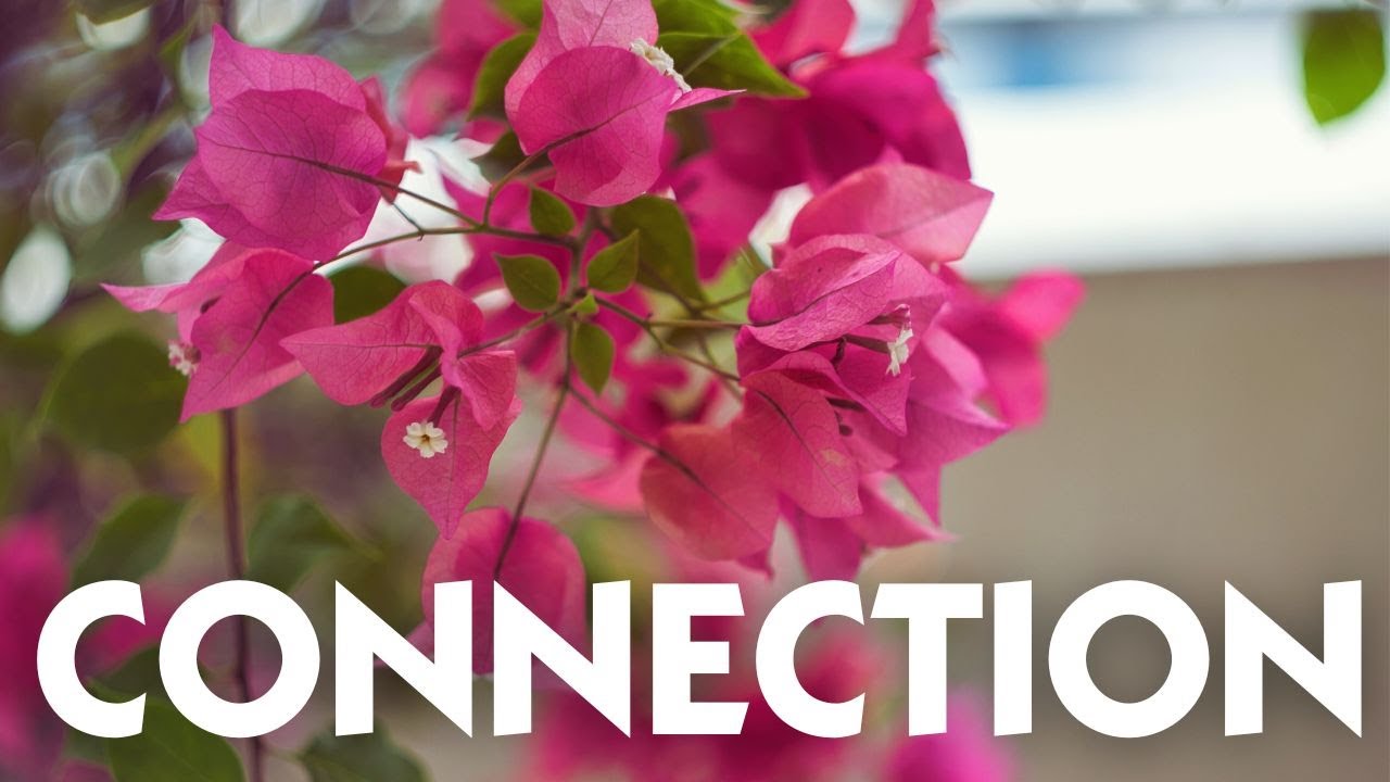 CONNECTION- -- BINAURAL  AMBIENT SOUND BATH
