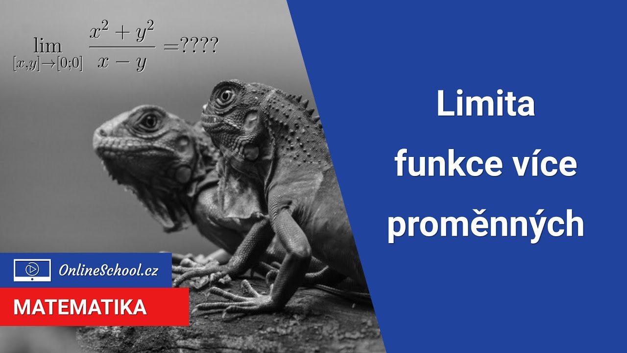 Limita funkce více proměnných | 3/15 Funkce více proměnných | Matematika | Onlineschool.cz