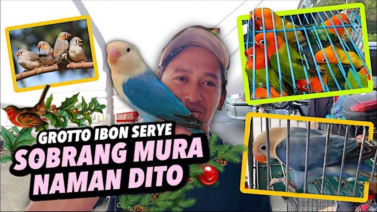 IBON UPDATE SA GROTTO PET MARKET | IBON SERYE | DECEMBER 22, 2024