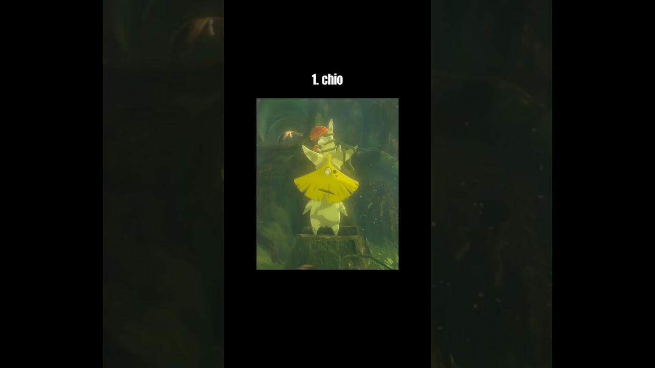 the BEST Korok characters #totk #loz #zelda #tearsofthekingdom #botw #breathofthewild #korok