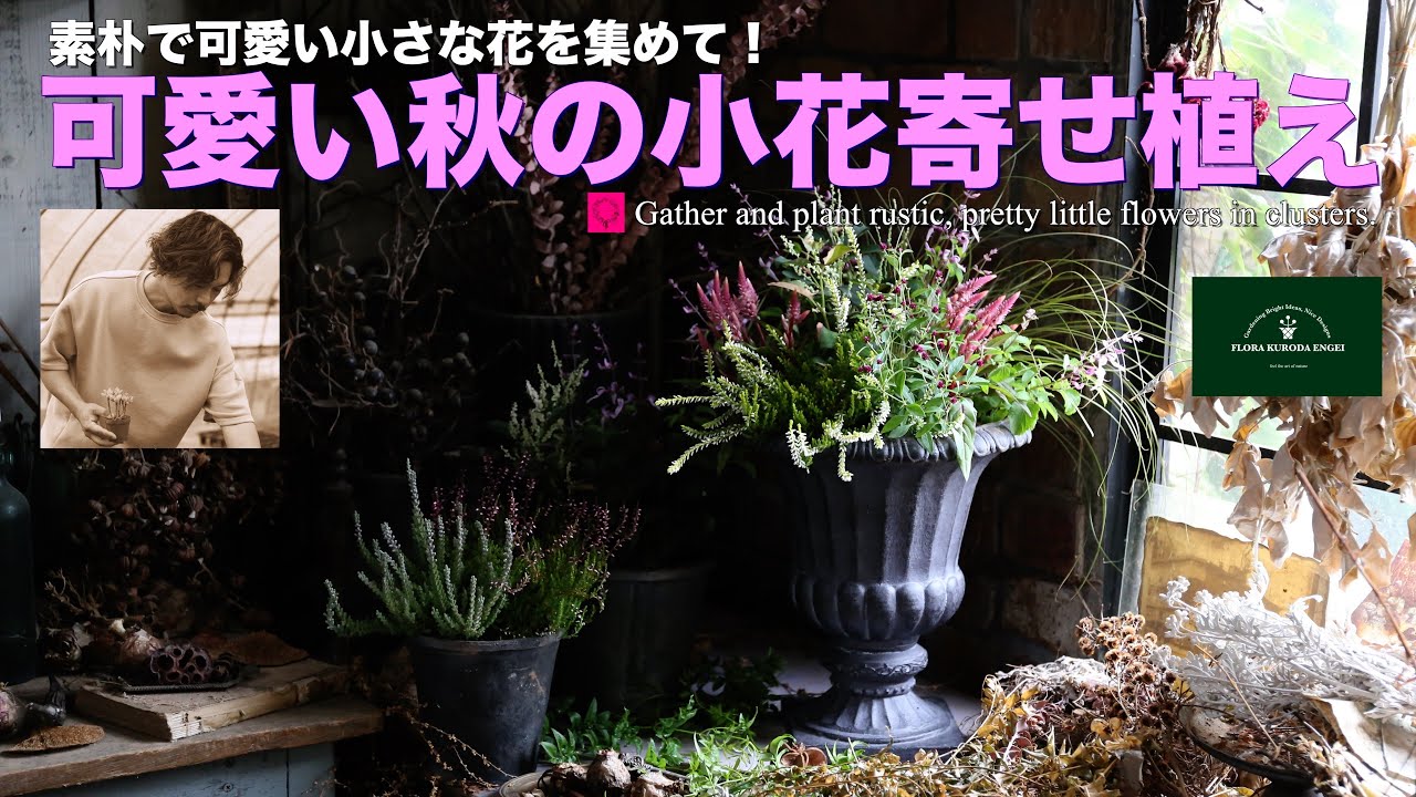 素朴で可愛い小さな花を集めて！／ ふんわりエアリーな秋の寄せ植え【秋のガーデニング】-フローラ黒田園芸- Autumn gardening/ガーデニング　園芸　寄せ植え
