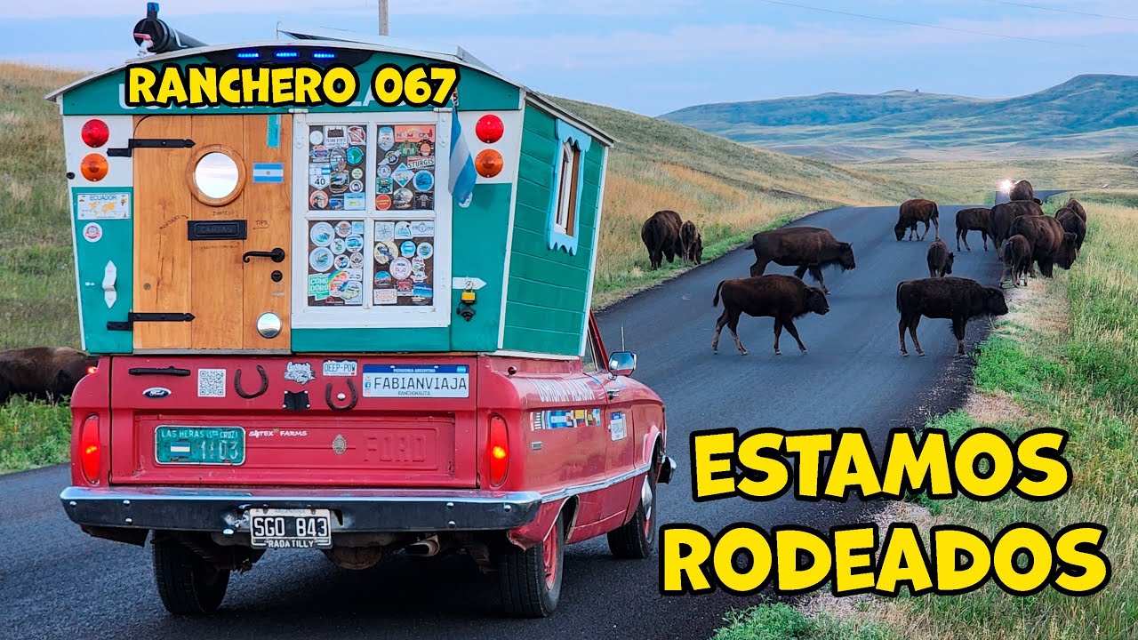 Ranchero 067 👉 BISONTES O BÚFALOS?? 😂 Mas motos y más historias!!! 🚀 #Custer #dakota