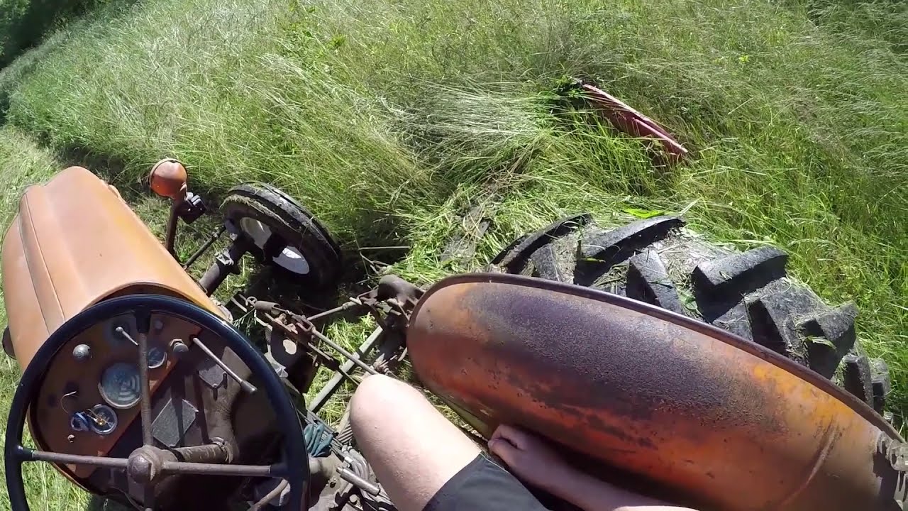 Primo sfalcio Fiat 411R + barra falciante Laverda [Fienagione 2019]