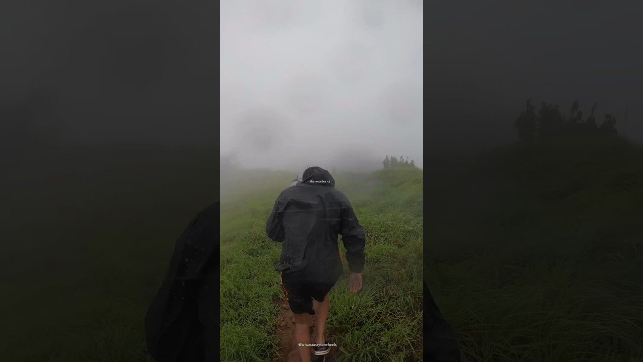 Kudremukha's Views in 20 Seconds! 🌄 #nammakarnataka #kudremukha #monsoon2024
